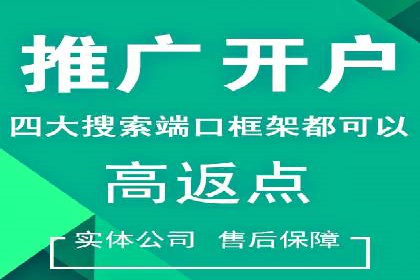 网络推广中的竞价广告：成功案例解析