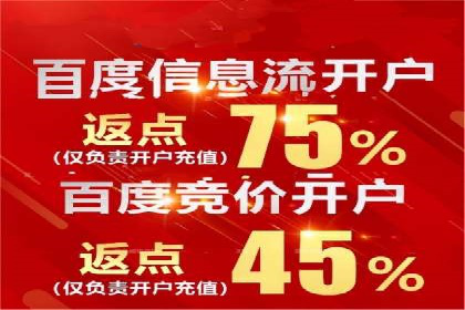电商平台SEM推广的全过程解析